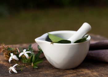 Herbs for Toothaches – Natural Dental Pain Relief