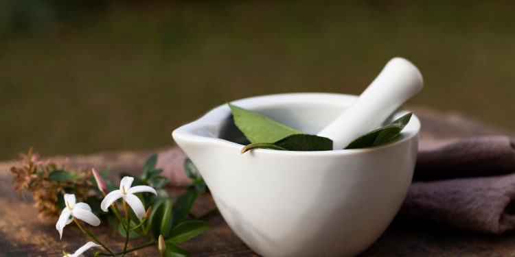 Herbs for Toothaches – Natural Dental Pain Relief