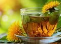 How to Make Dandelion Tea – Healthy Leaf, Root, and Flower Teas
