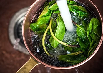 How to Dry Mint Leaves – Cultivating Mint Plants for Tea