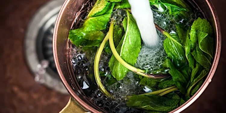 How to Dry Mint Leaves – Cultivating Mint Plants for Tea