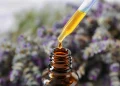 How to Make Lavender Essential Oil – DIY Lavender Oil Recipes
